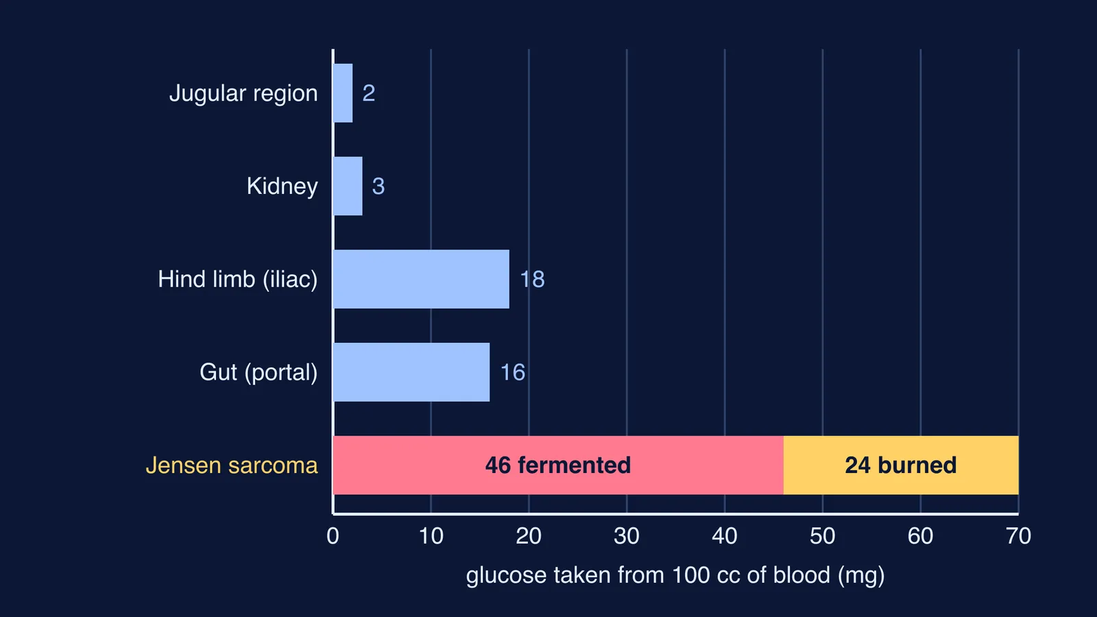 Bar chart: a rat tumour takes far more blood glucose than normal tissues