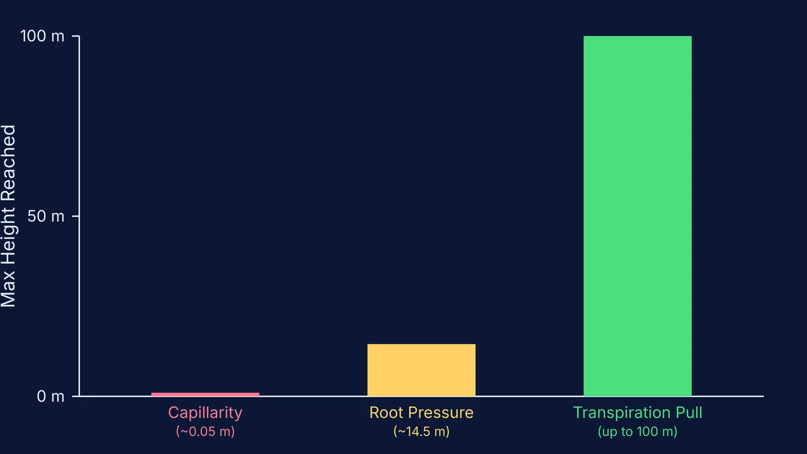 Bar chart comparing heights reached by capillarity, root pressure and transpiration pull