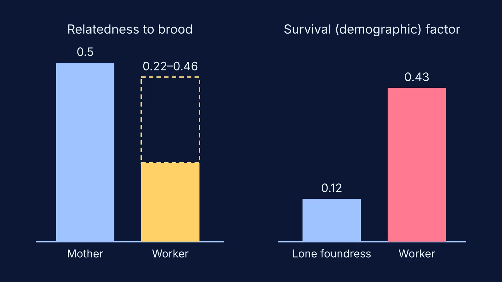 Bar chart comparing wasp workers and lone foundresses on relatedness and survival