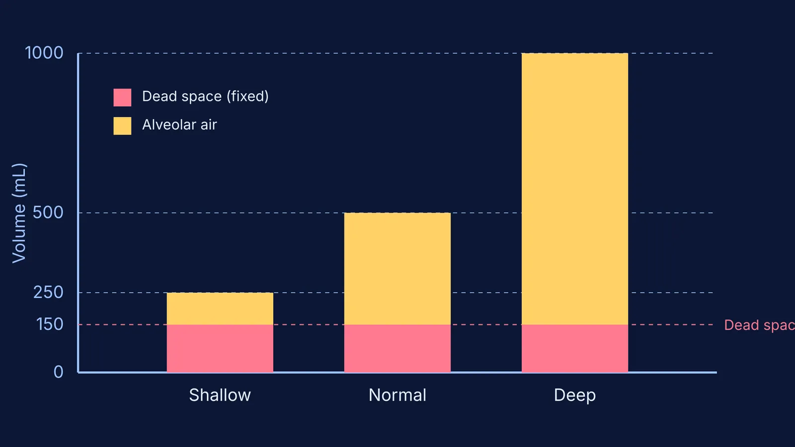 Bar chart of alveolar ventilation in shallow, normal, and deep breathing