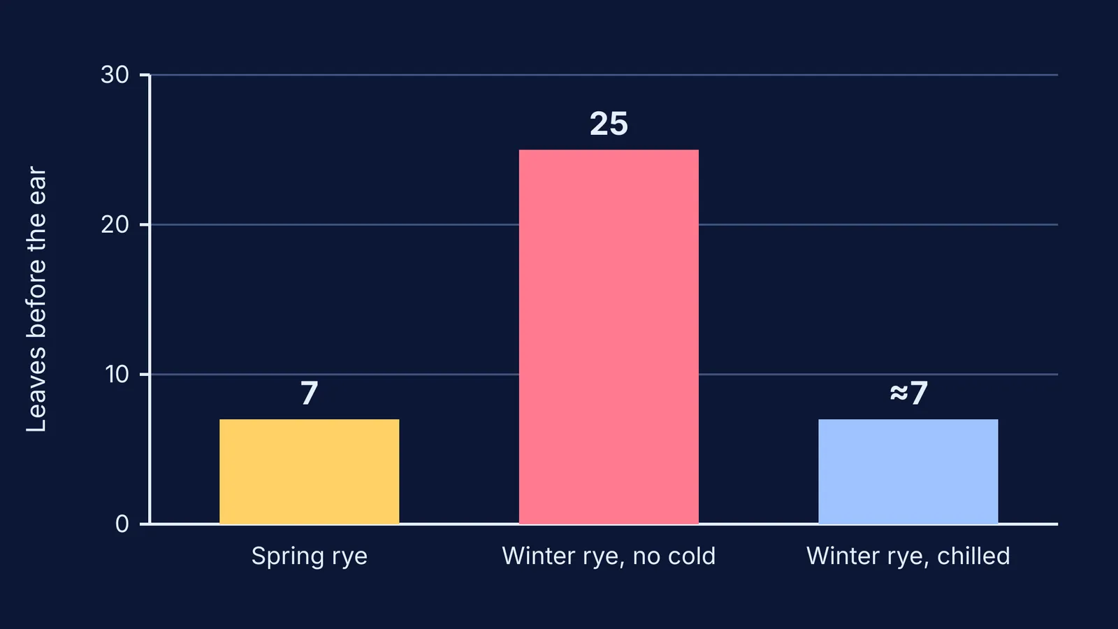 Bar chart of leaves formed before the ear in spring, unchilled and chilled winter rye