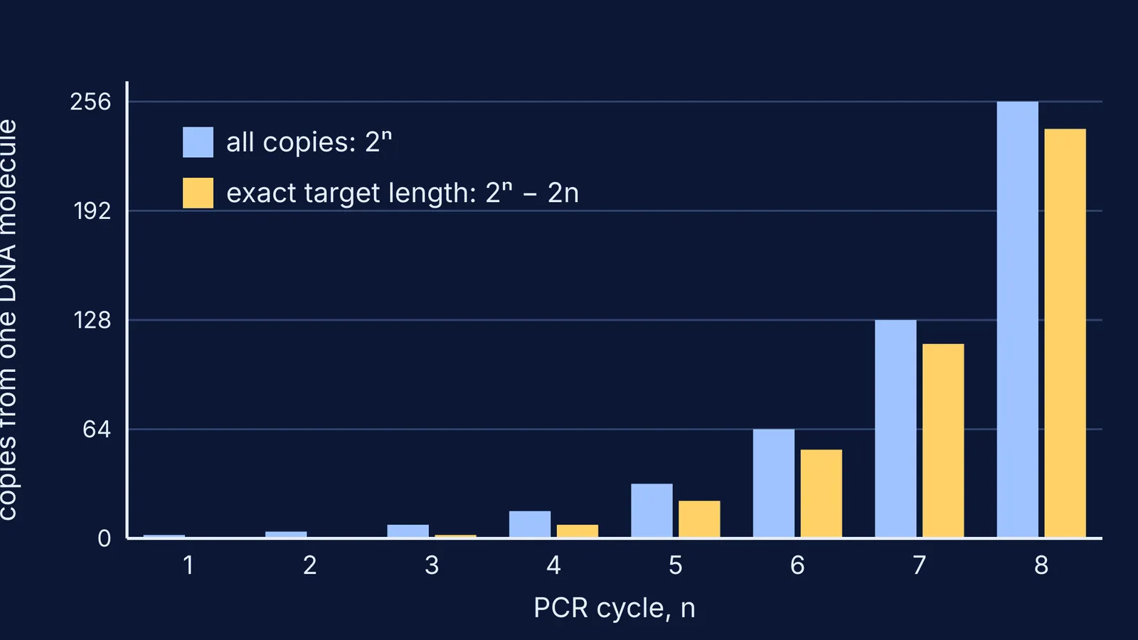 Bar chart of PCR copies: all copies 2ⁿ versus exact-length copies 2ⁿ − 2n