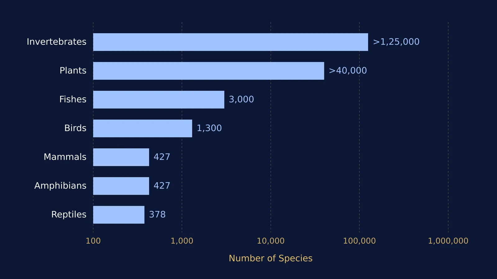 Bar chart of species richness in the Amazon