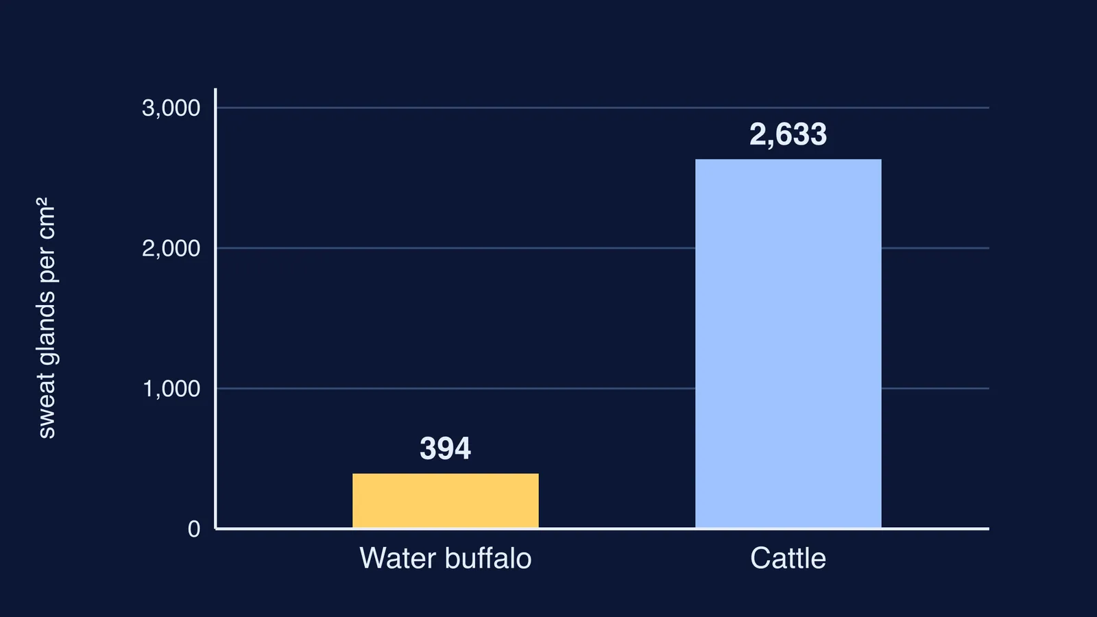 Bar chart: water buffalo have far fewer sweat glands per cm² than cattle