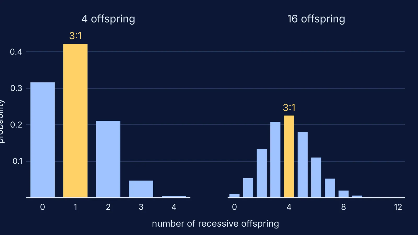 Bar charts of recessive offspring counts in families of 4 and 16