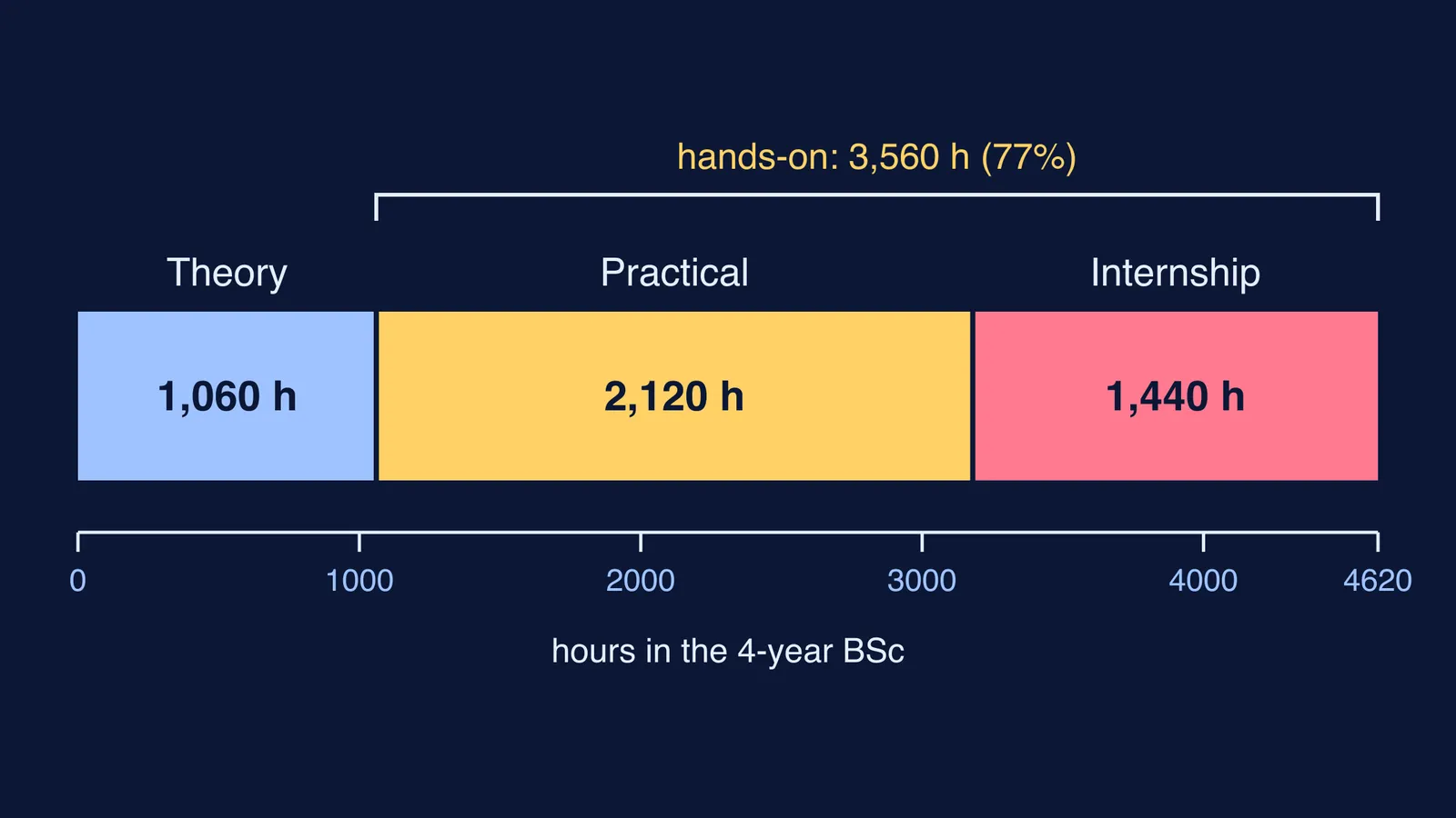 Bar showing BSc imaging course hours: theory, practical classes and internship