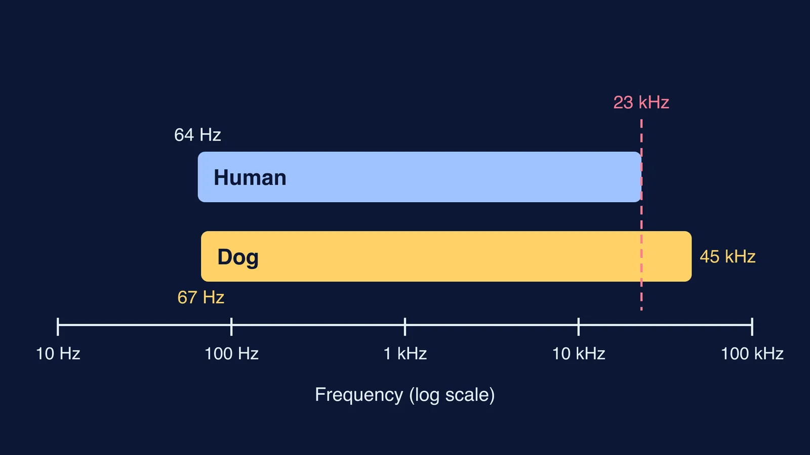 Bars comparing hearing ranges: humans 64 Hz to 23 kHz, dogs 67 Hz to 45 kHz