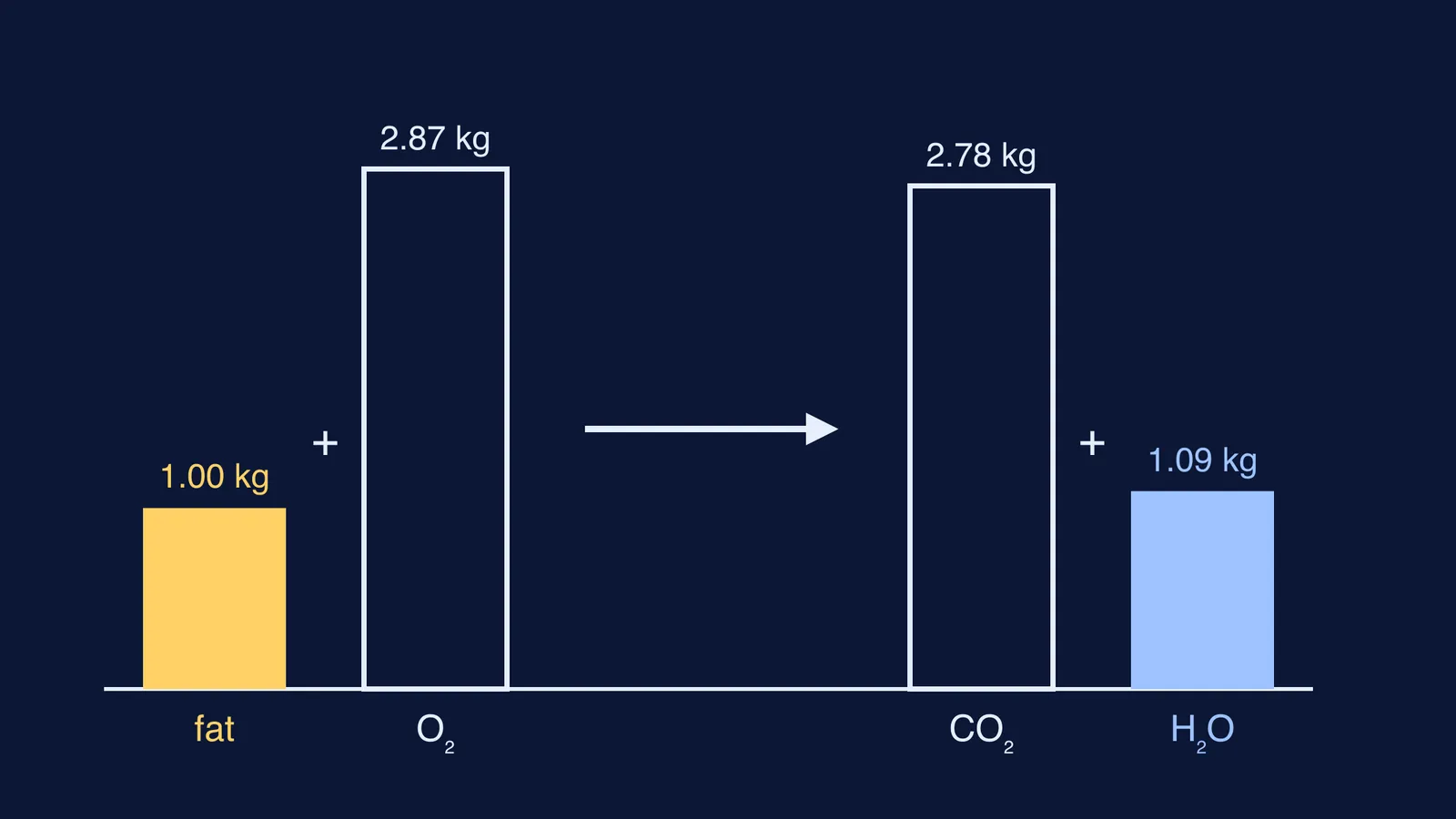Bars comparing masses when 1 kg of fat burns into water