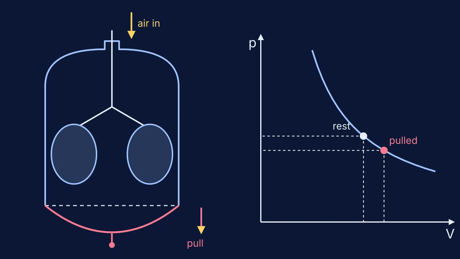 Bell jar lung model with diaphragm pulled down beside a Boyle's law curve