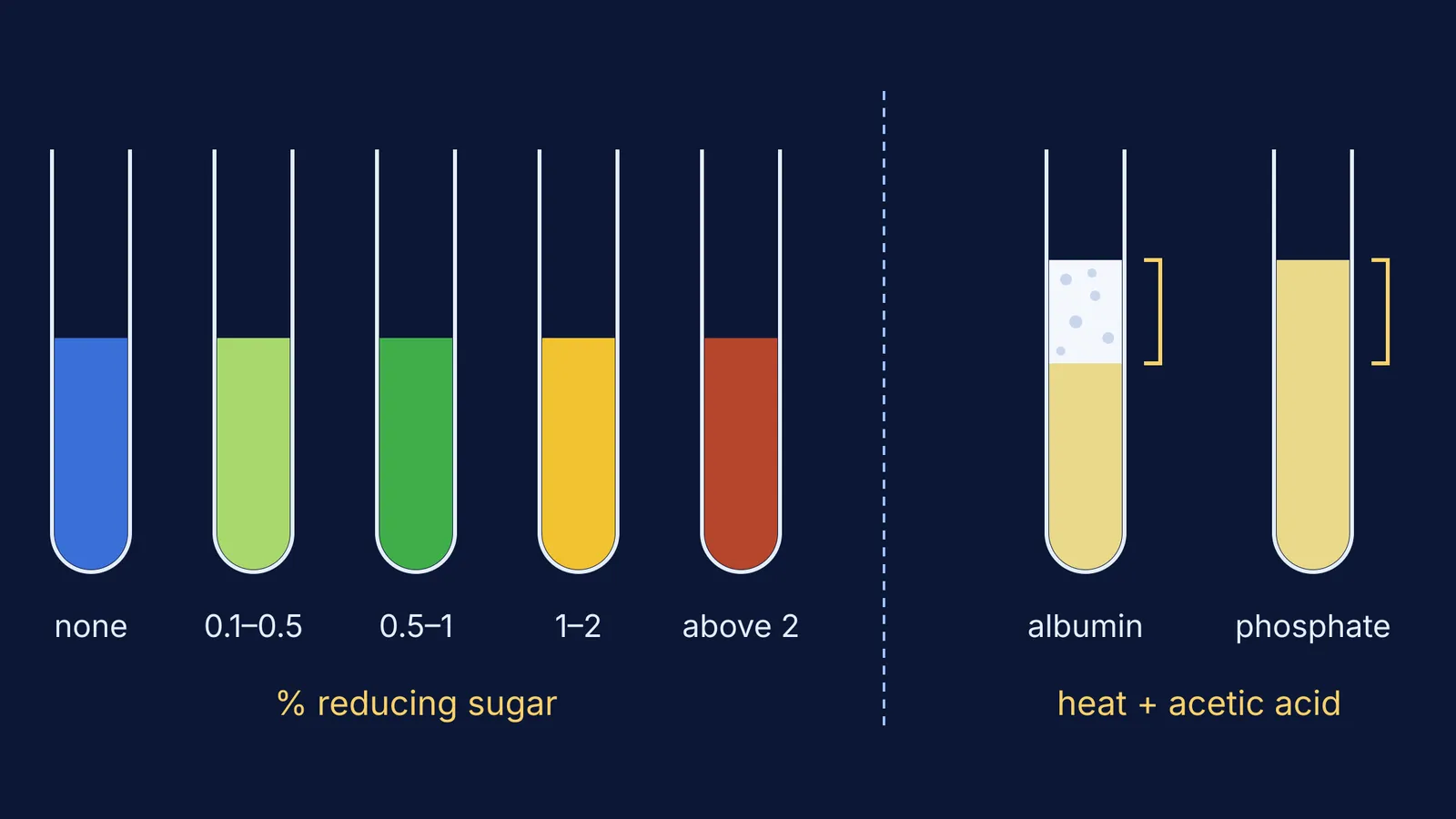 Benedict's test colour scale beside heat coagulation tubes for albumin and phosphate