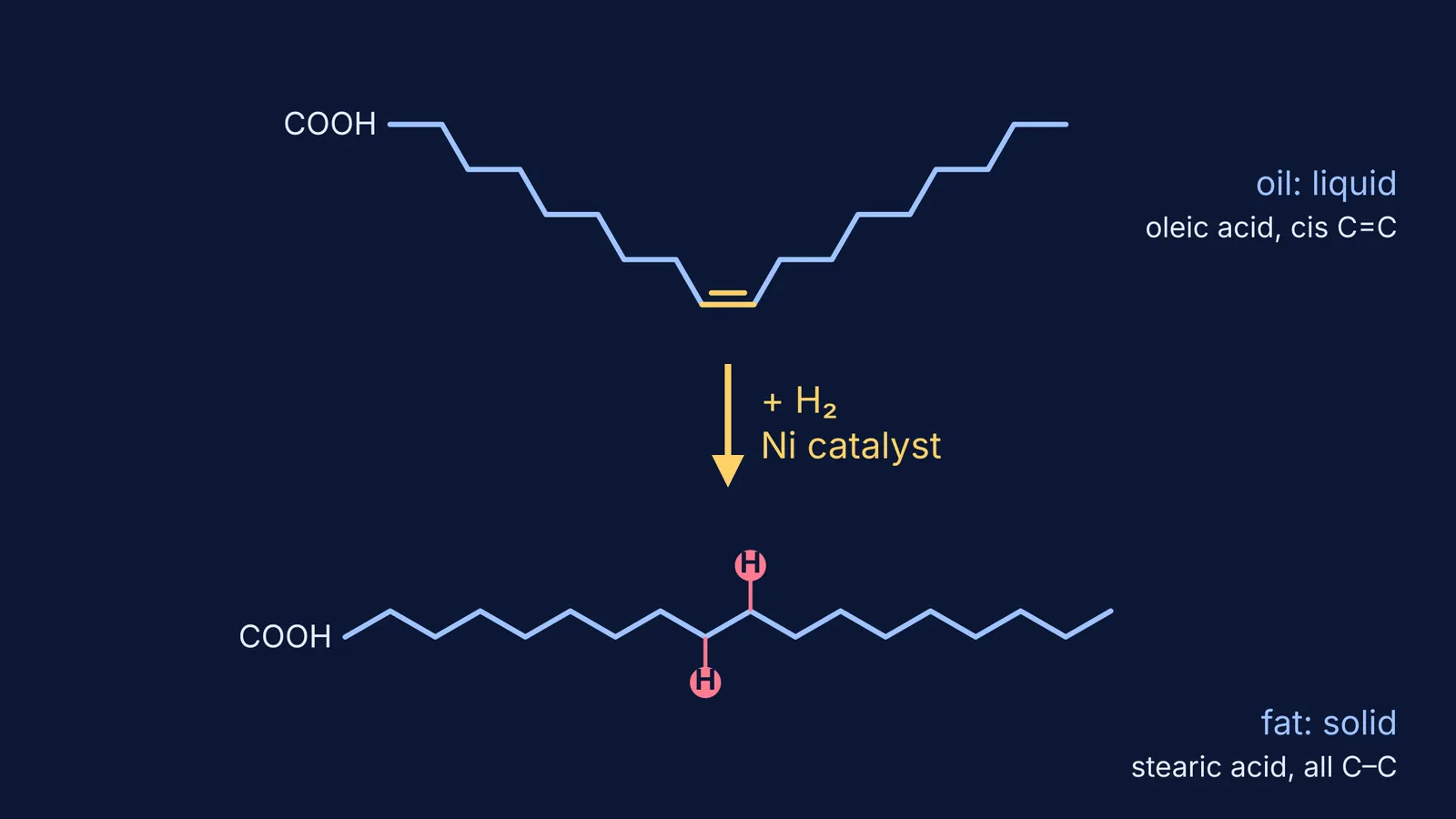 Bent oleic acid chain gains hydrogen over nickel and becomes straight stearic acid