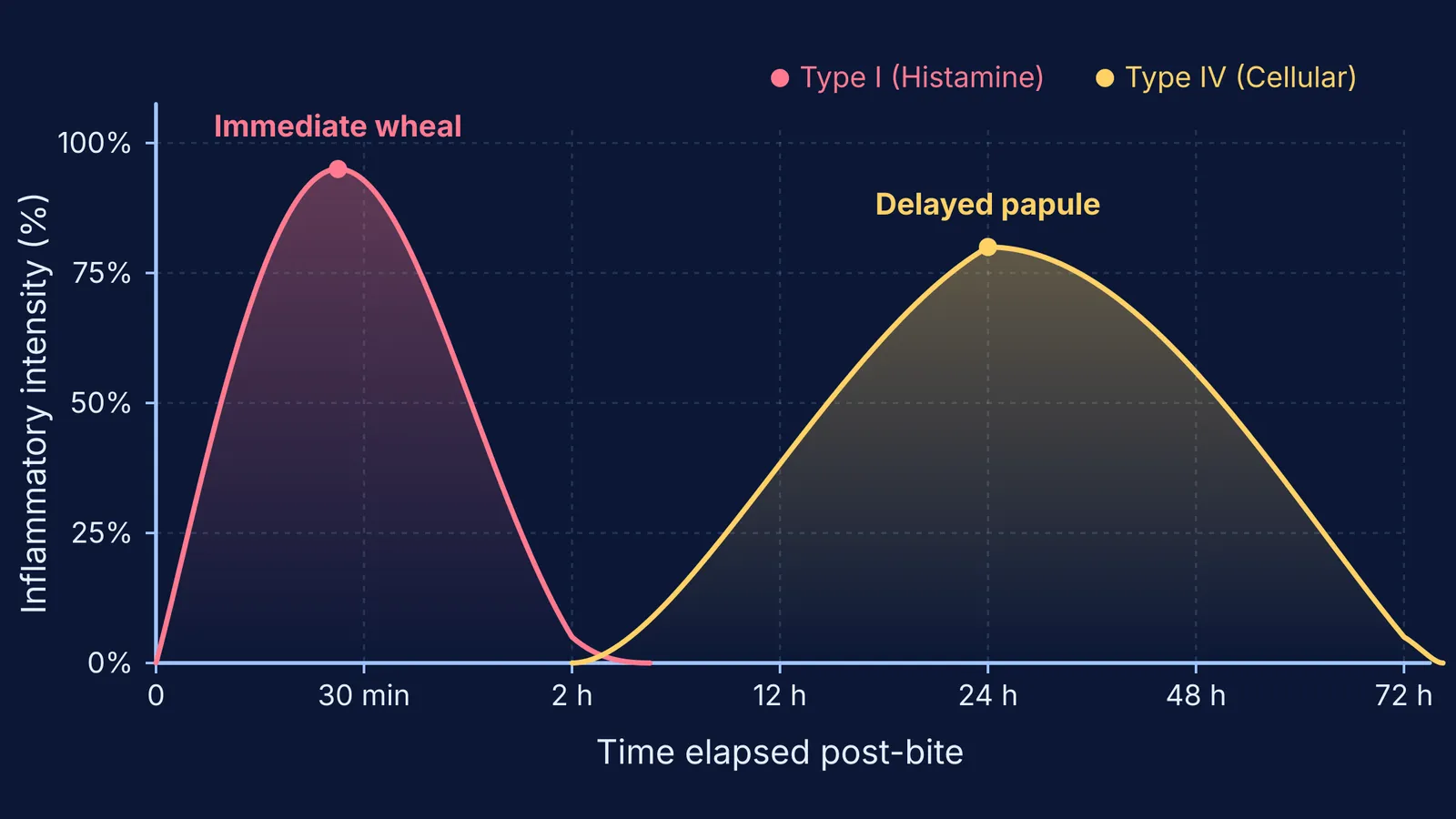 Biphasic inflammatory curve showing immediate histamine wheal and delayed cellular papule post-bite