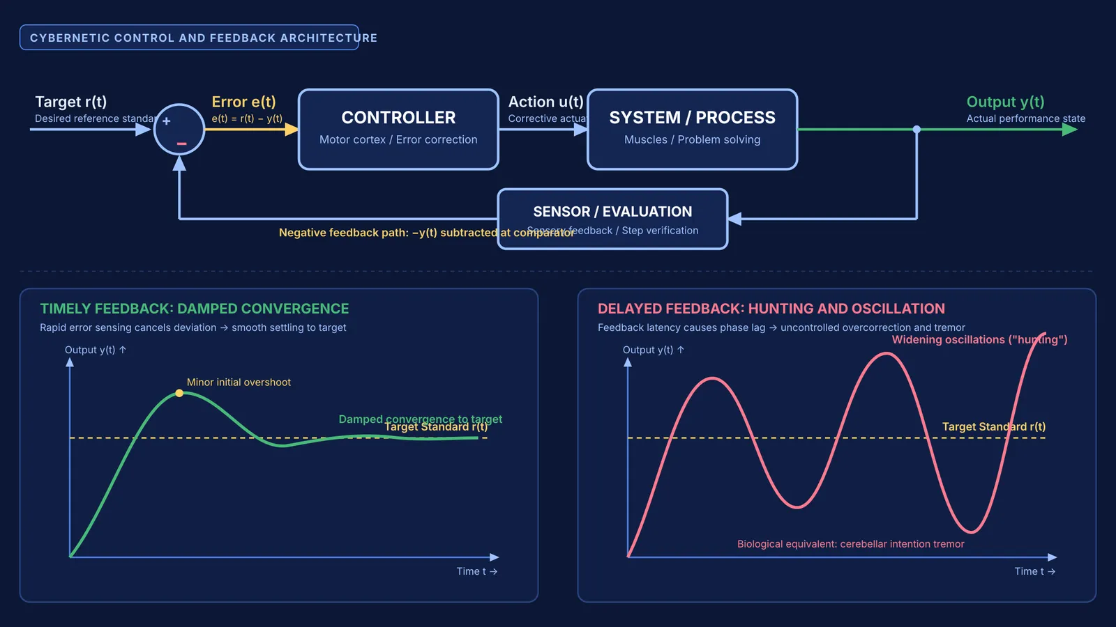 Block diagram of cybernetic negative feedback loop with error correction response curves