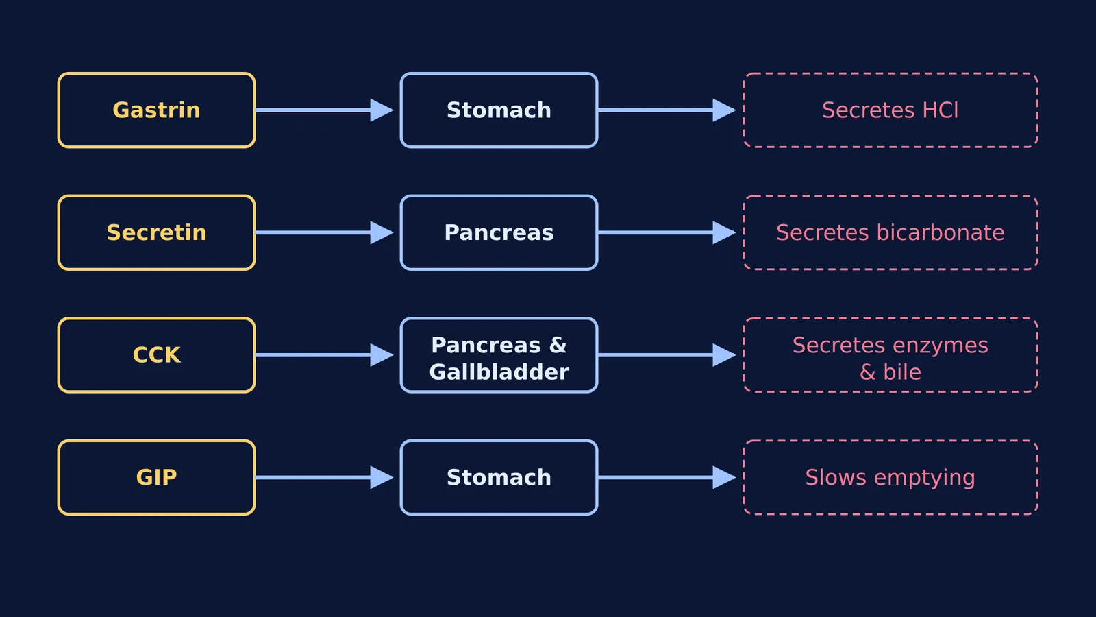 Block diagram of the four gastrointestinal hormones, their targets and effects.