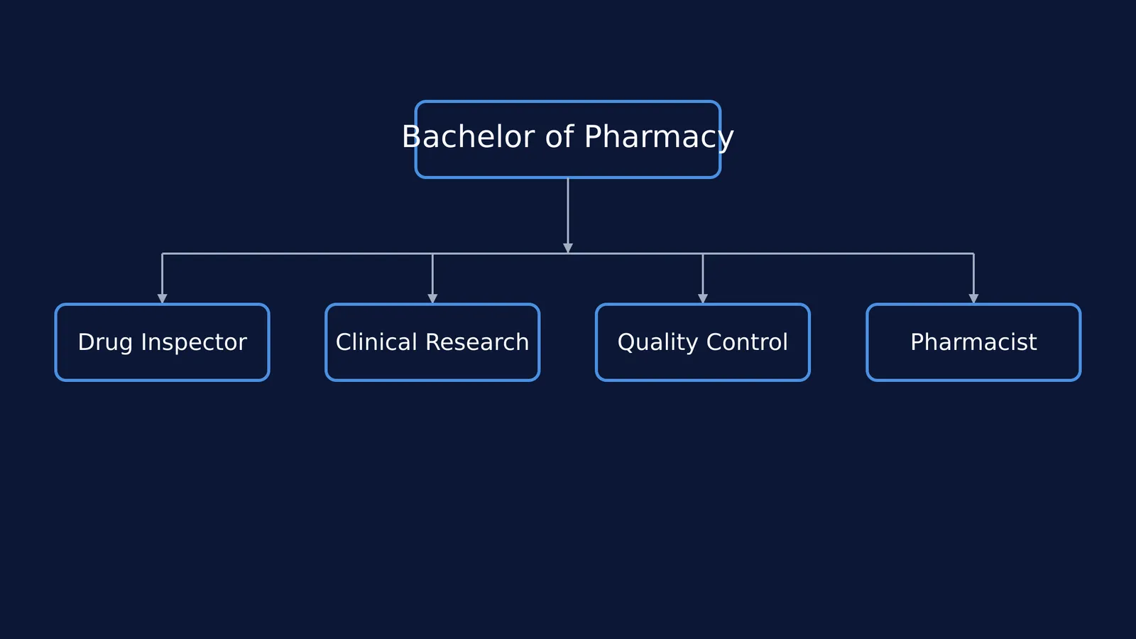 Block diagram showing Bachelor of Pharmacy leading to four career paths