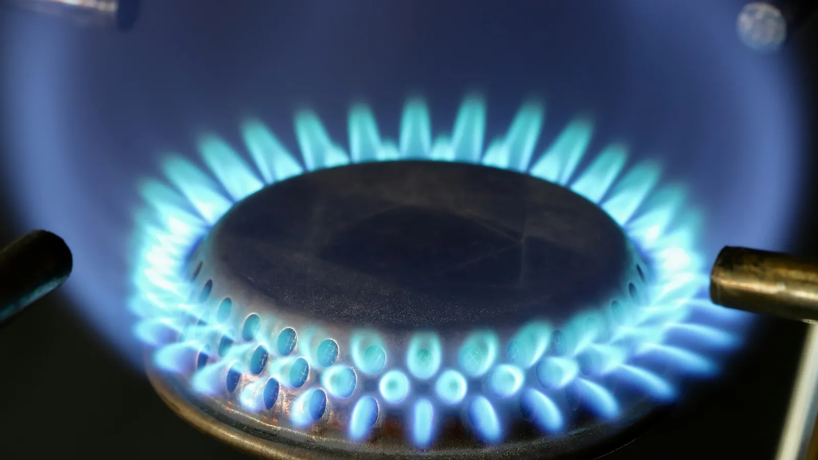 Blue flames from a gas stove burner, close up