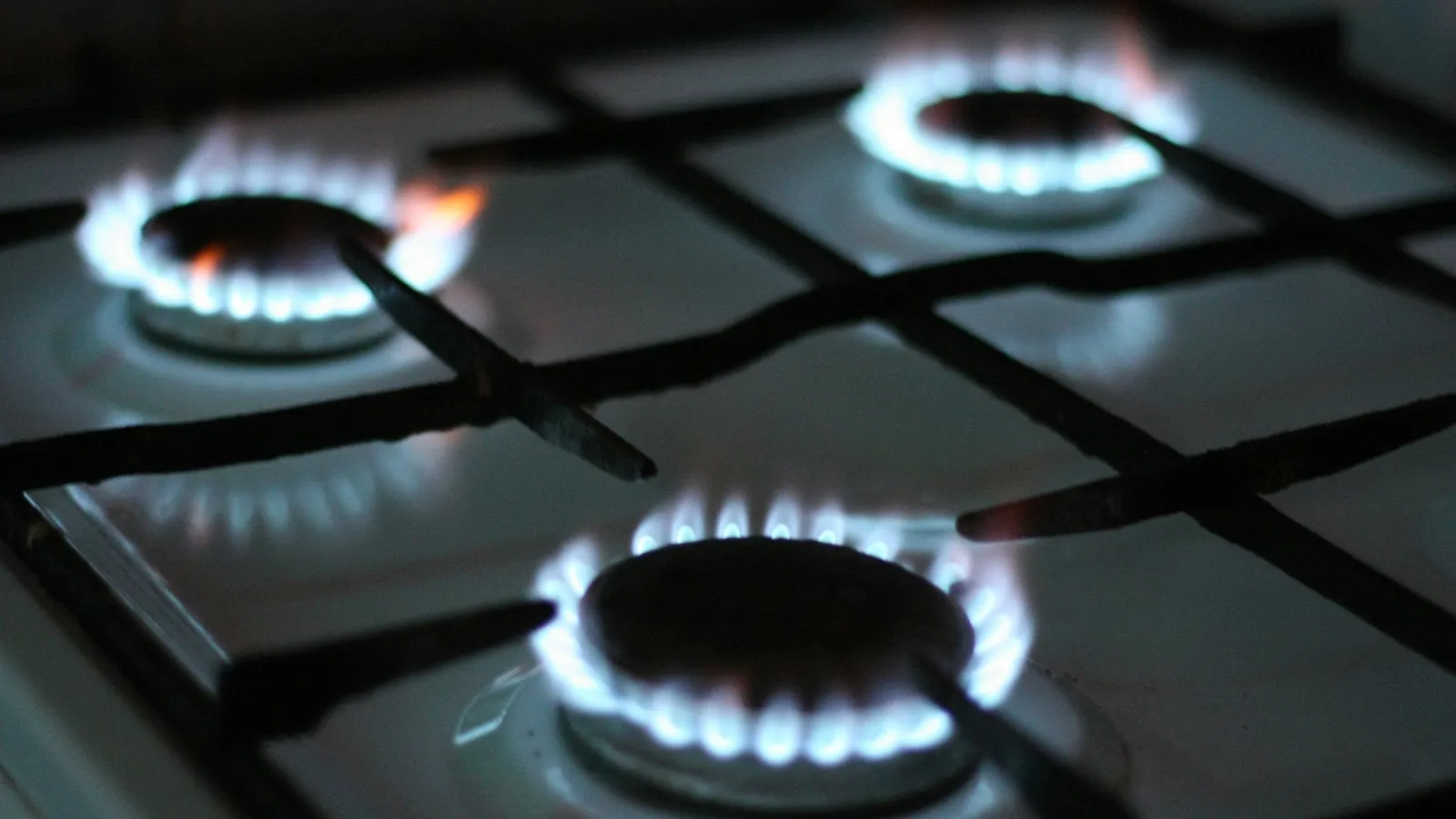 Blue gas flames burning on a stove top