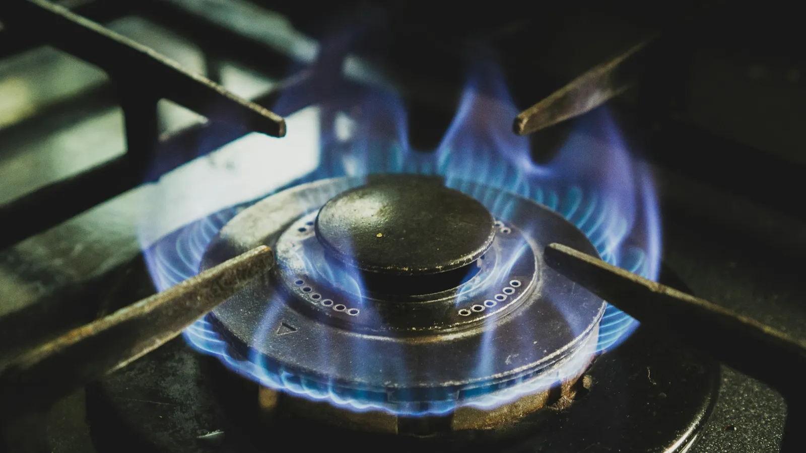 Blue gas flames on a stove burner