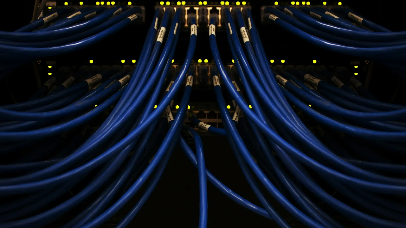 Blue network cables plugged into a rack of switches