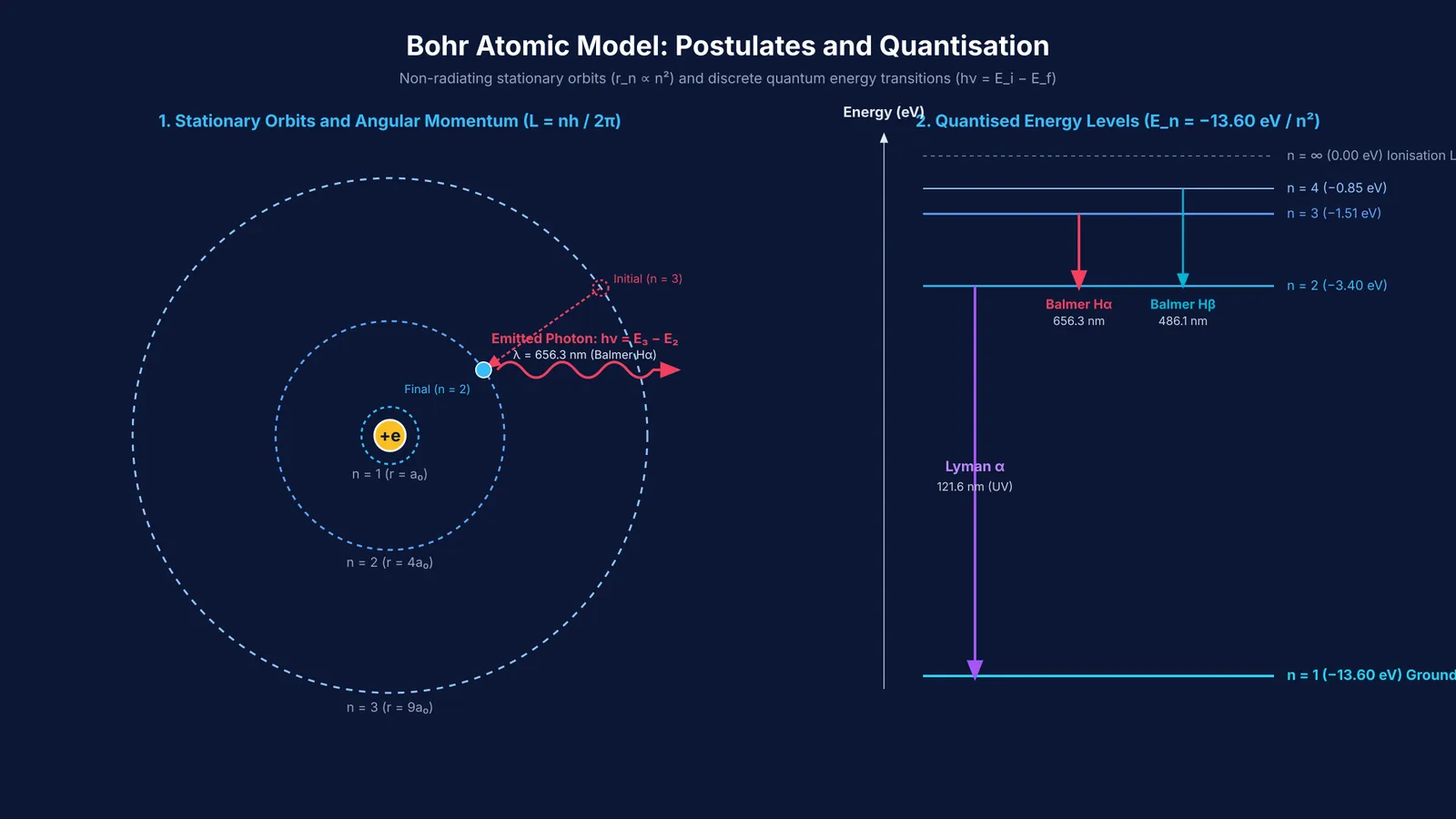 Bohr atomic model diagram showing stationary orbits and discrete hydrogen energy levels