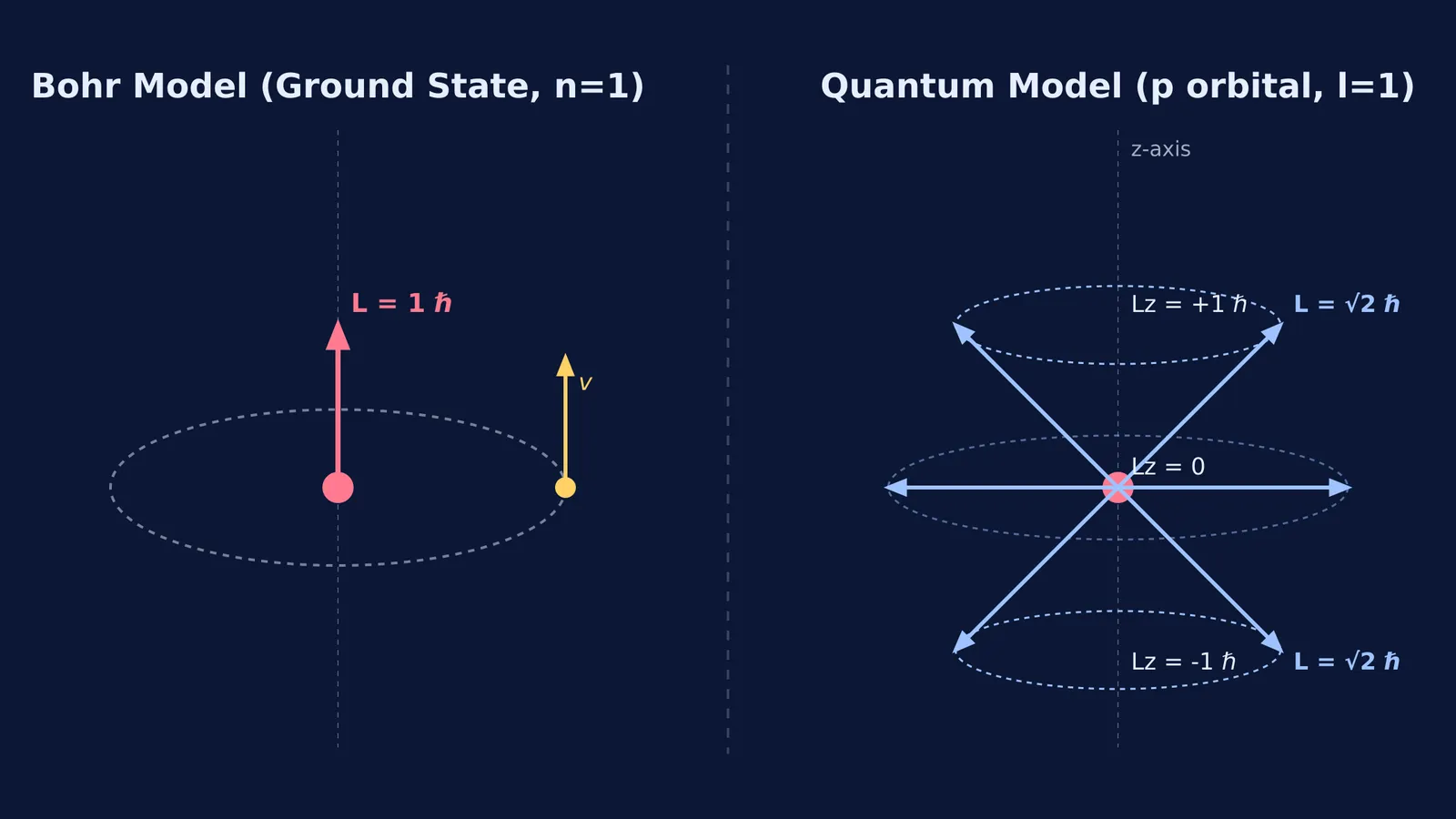 Bohr's angular momentum vector next to quantum angular momentum cones for l=1.