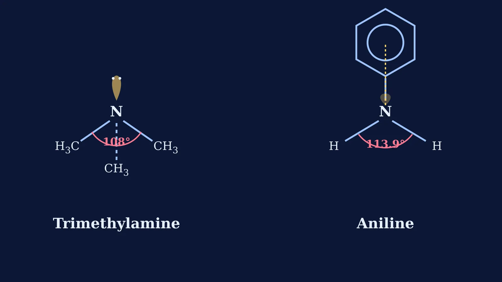 Bond angles of trimethylamine and aniline