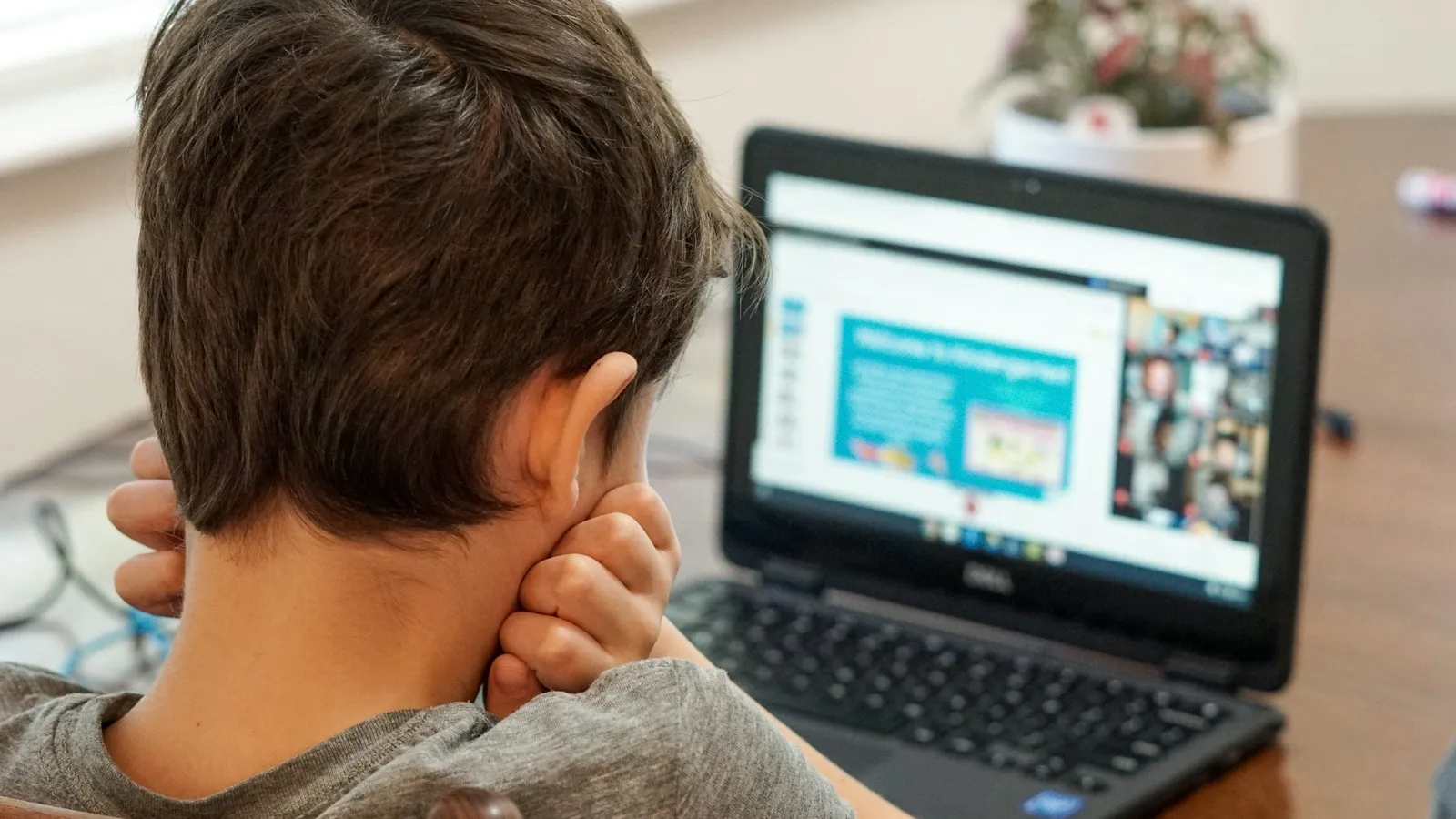 Boy watching a lesson on a laptop