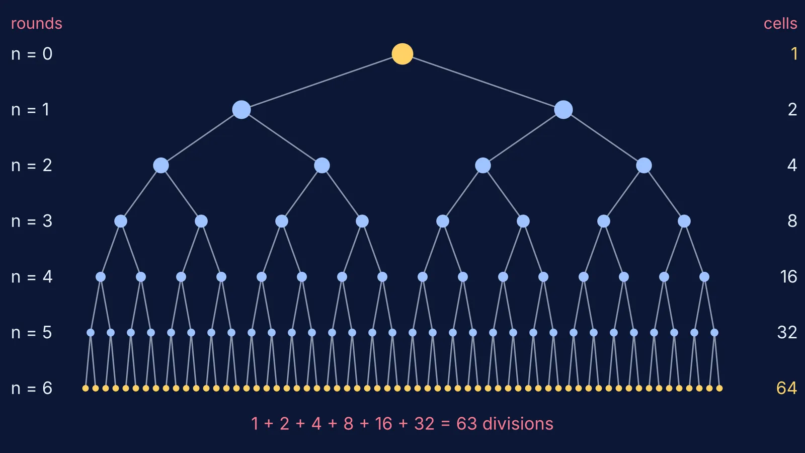 Branching tree showing one cell doubling to 64 cells over six rounds