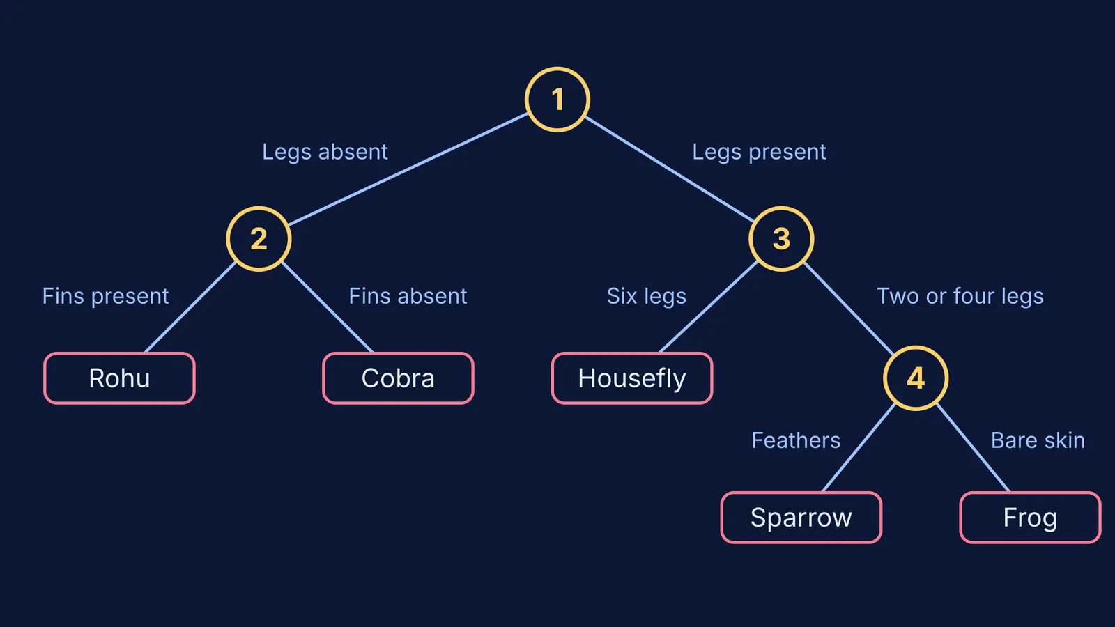 Branching two-choice key separating rohu, cobra, housefly, sparrow and frog