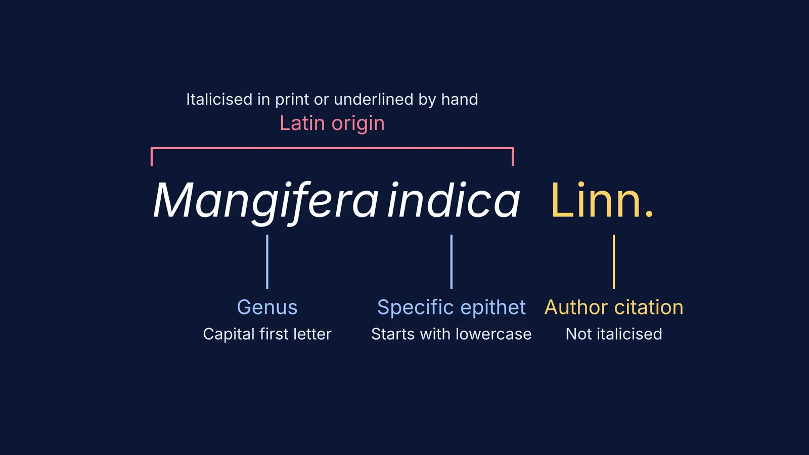 Breakdown of the scientific name Mangifera indica Linn.