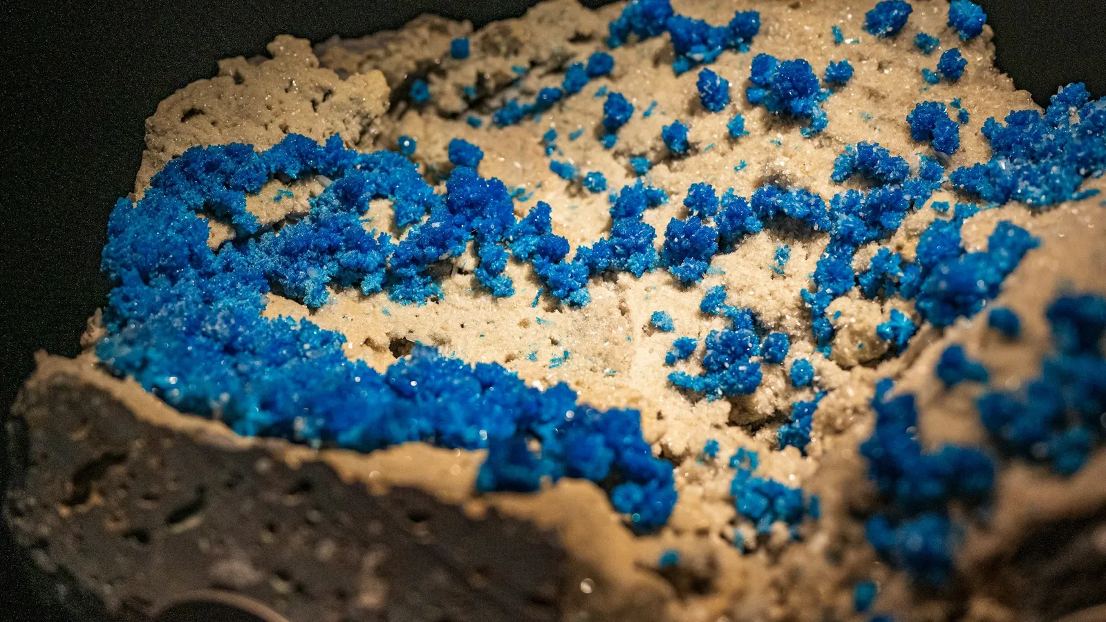 Bright blue crystals growing on a pale rock