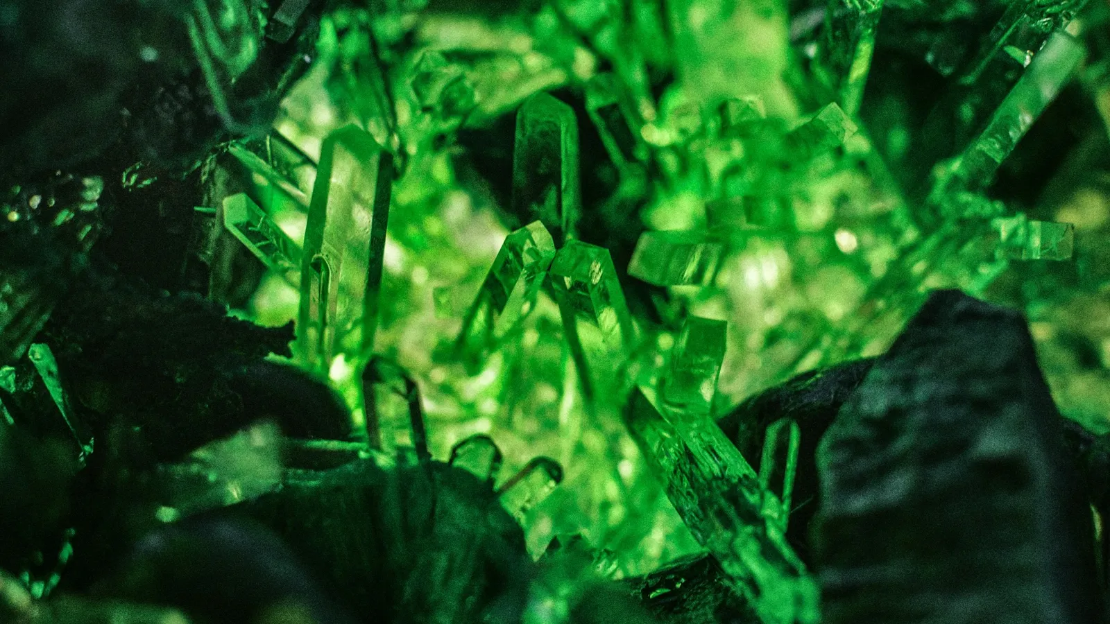 Bright green crystals glowing in the light