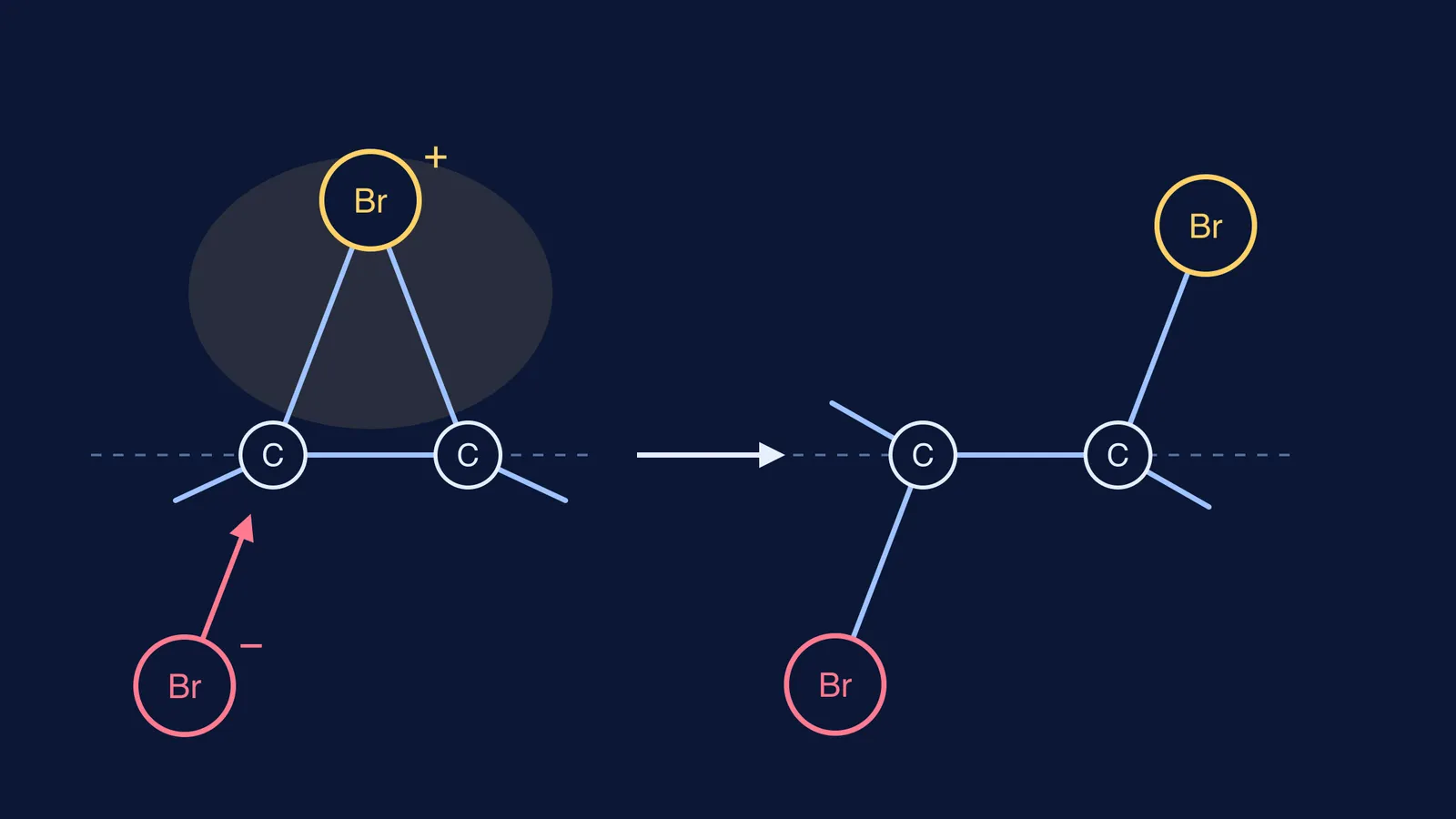 Bromide attacks a bromonium ion from below, giving the anti dibromide