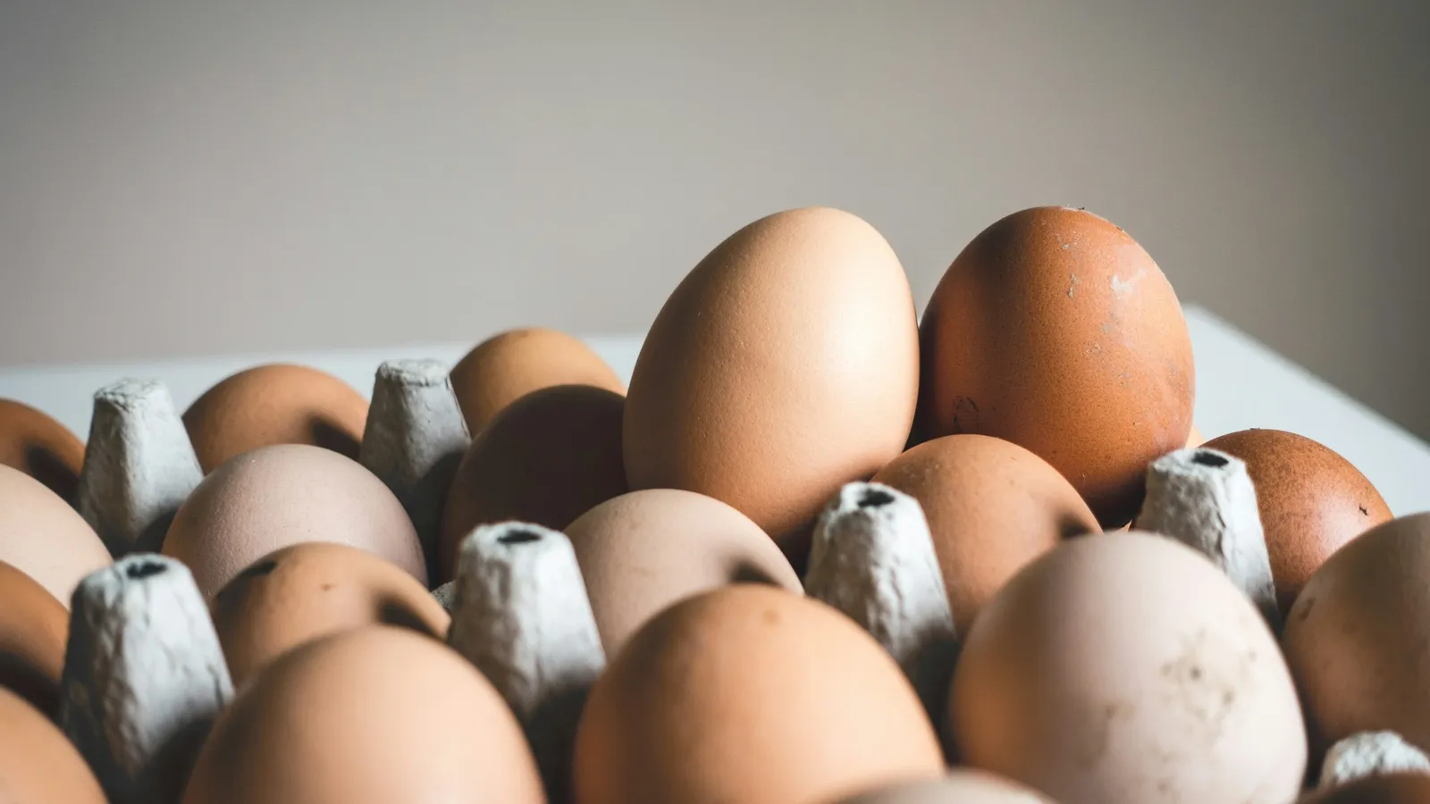 Brown eggs in an egg tray