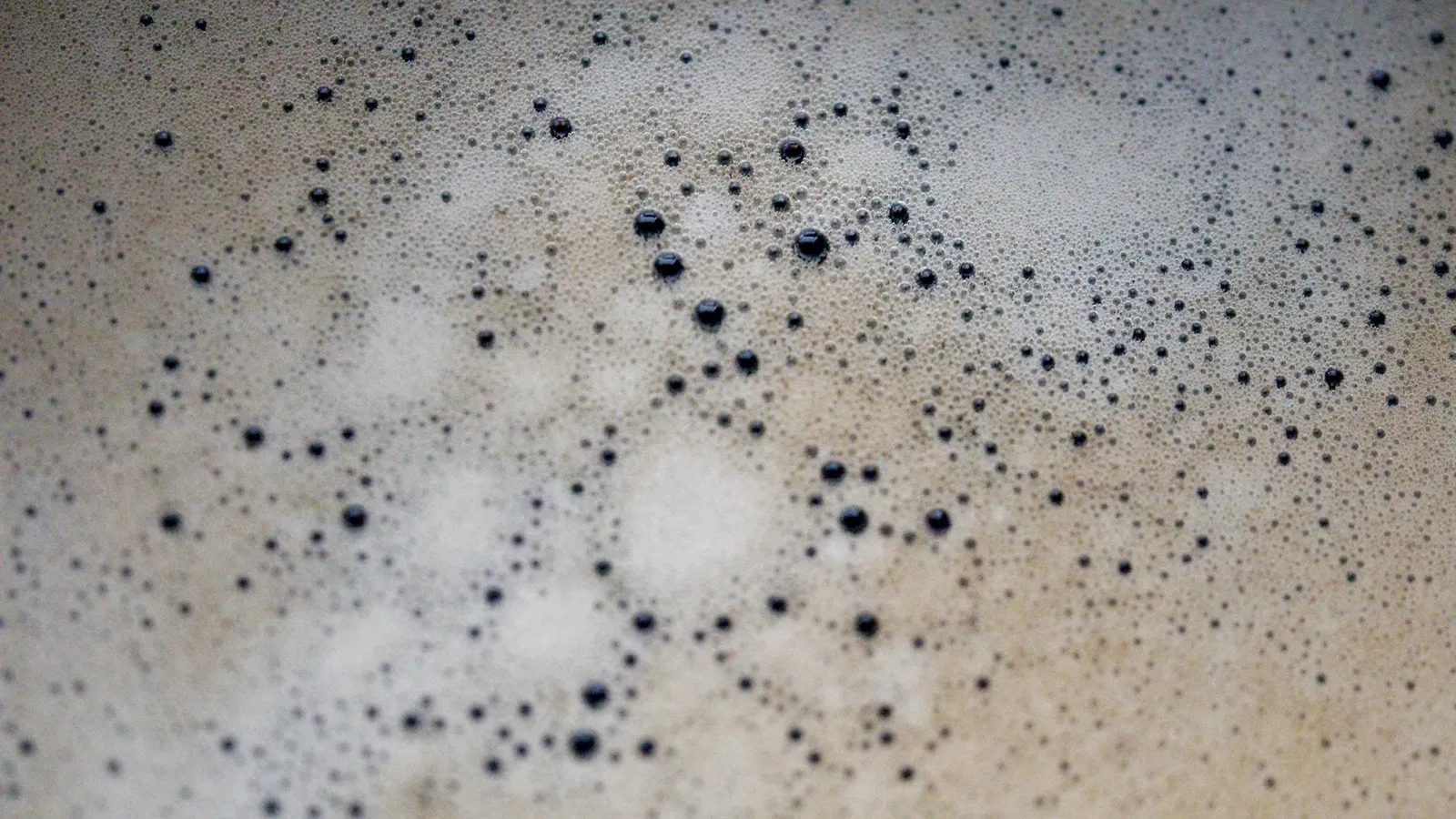 Bubbles fizzing in a pale liquid