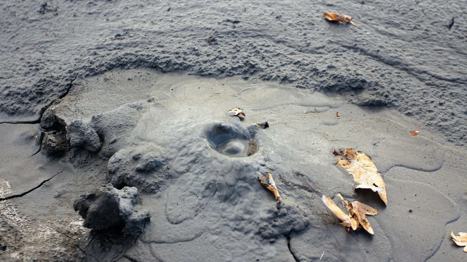 Bubbling grey mud at a volcanic spring