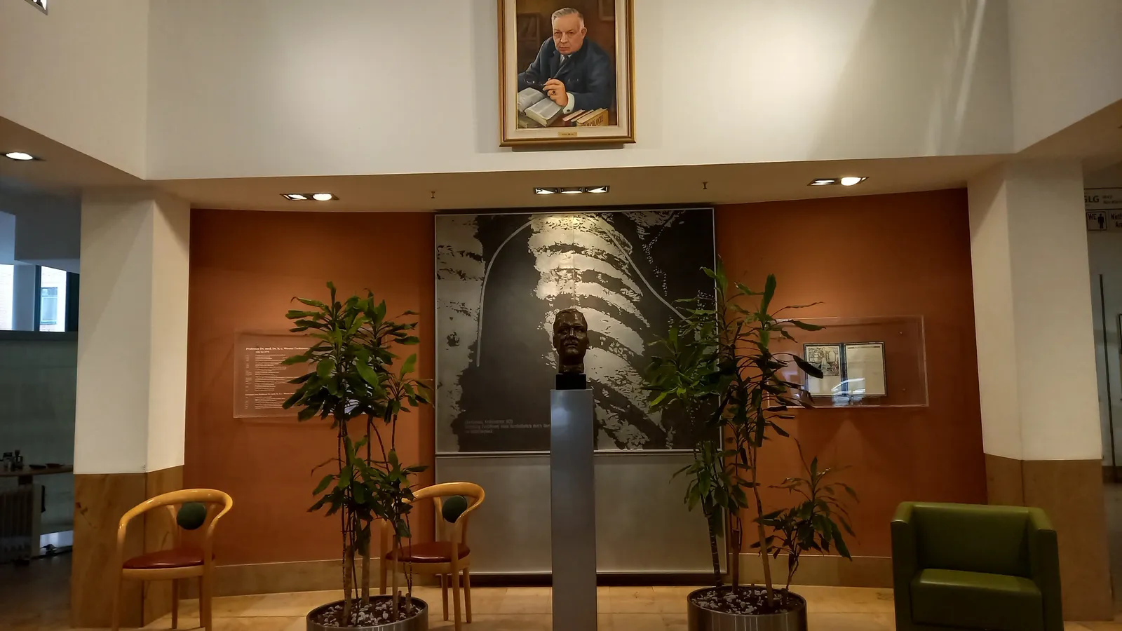 Bust of Werner Forssmann before an enlarged chest X-ray in an Eberswalde hospital foyer