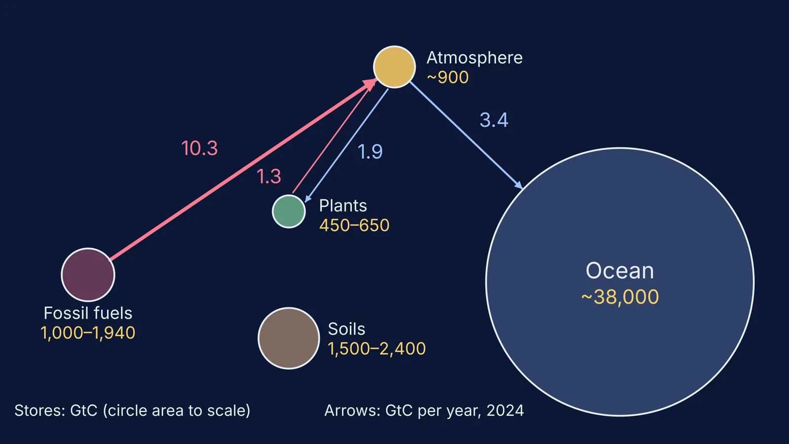 Carbon stores drawn to scale with 2024 fossil, ocean and land flows