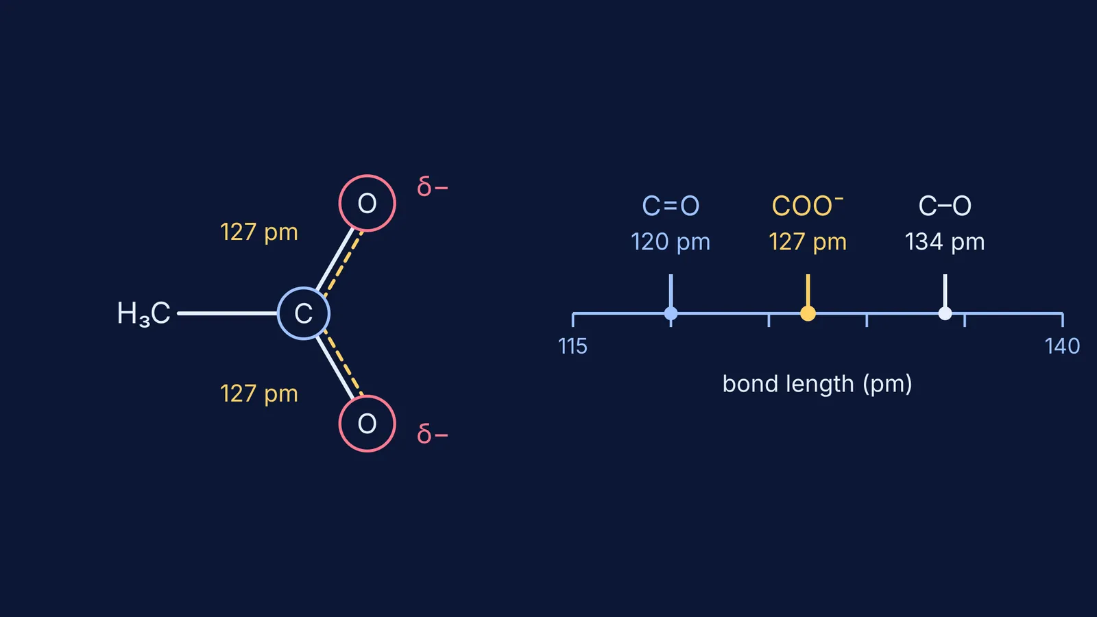 Carboxylate ion with two equal 127 pm C–O bonds on a bond-length scale