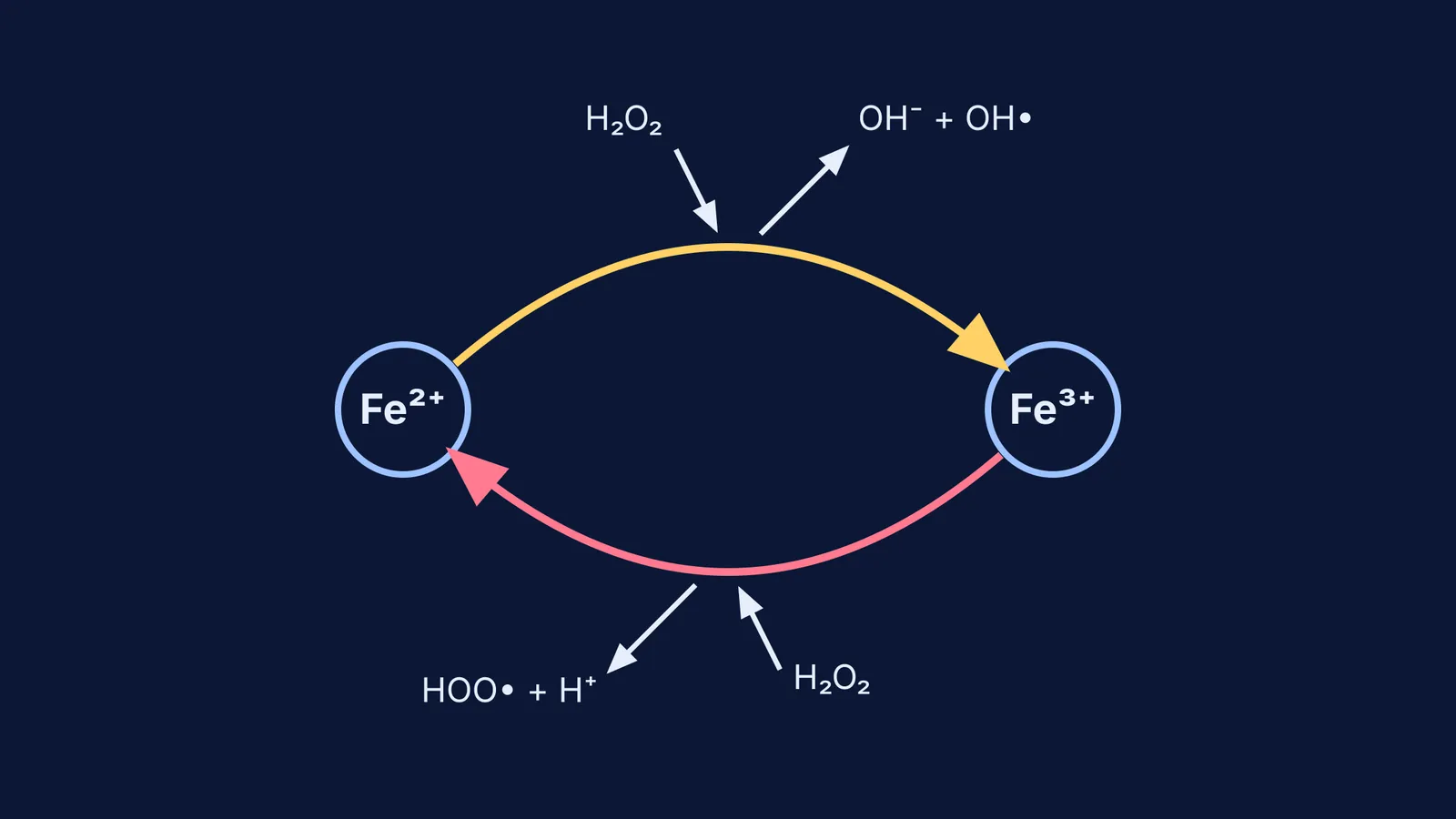 Catalytic cycle of Fenton's reagent
