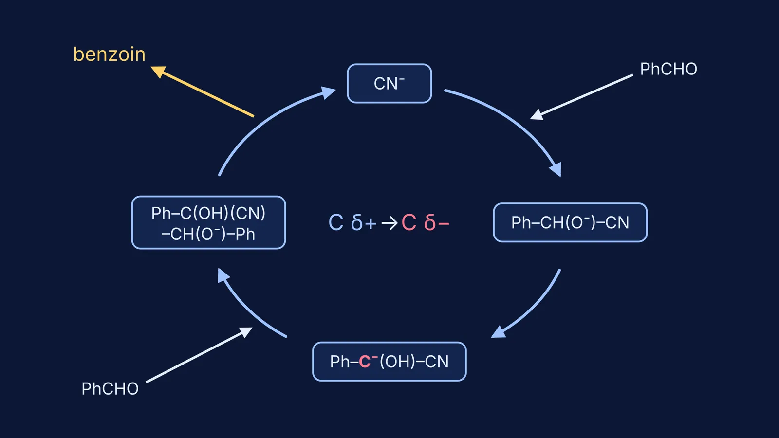 Catalytic cycle where cyanide joins two benzaldehyde molecules into benzoin