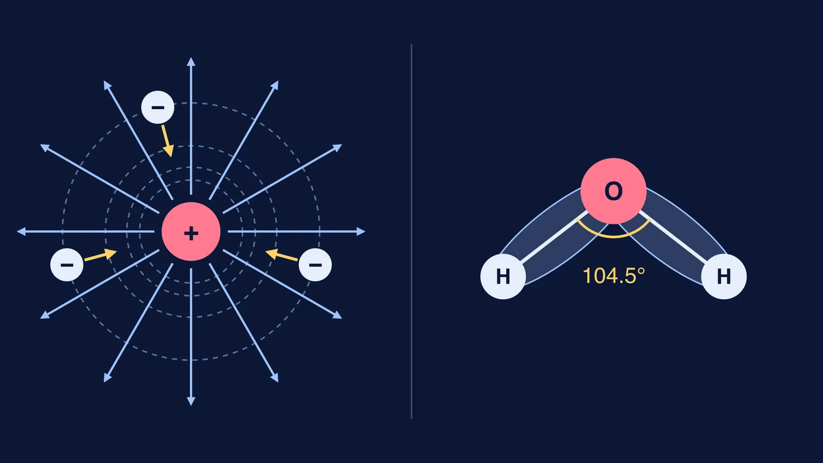 Cation's electric field spreading evenly in all directions beside a bent water molecule