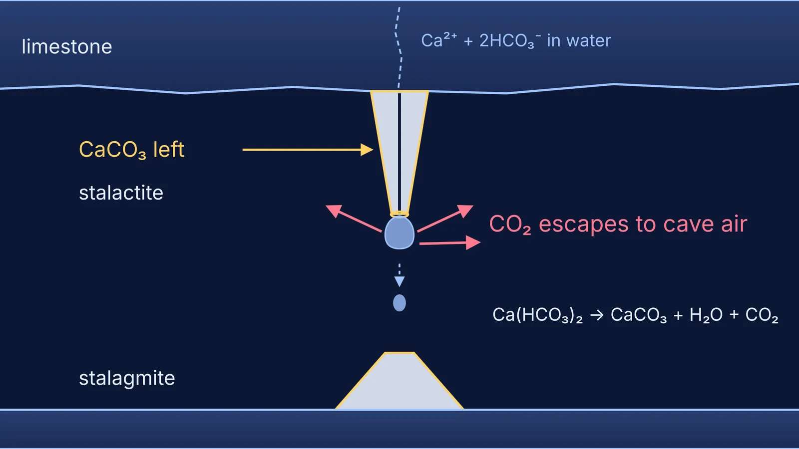 Cave cross-section: dripping stalactite loses CO2 and leaves calcium carbonate behind