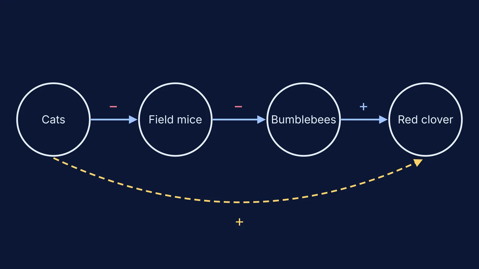 Chain diagram: cats, field mice, bumblebees and red clover linked by arrows