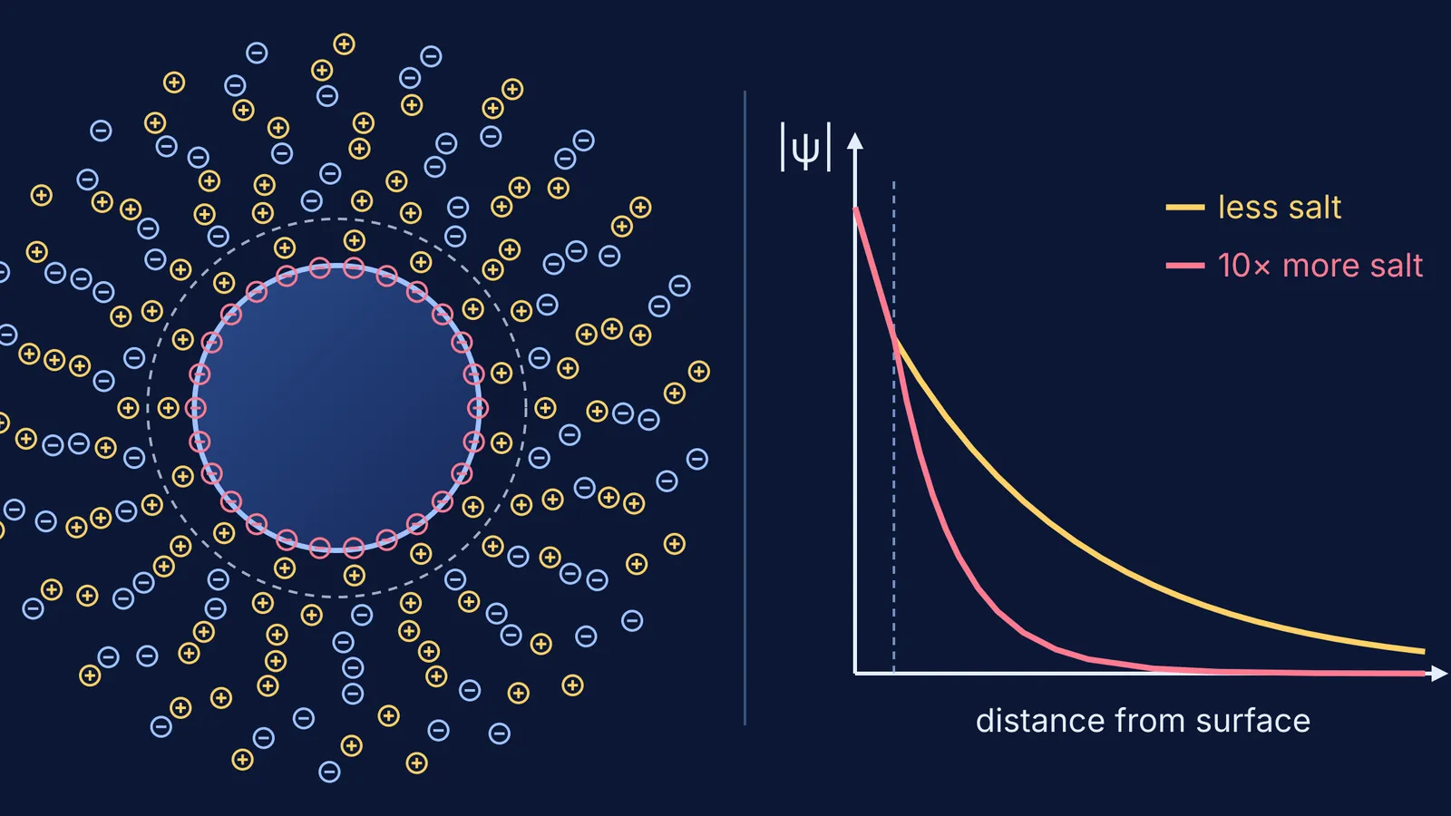 Charged colloid particle with adsorbed ions, counter-ion layers and potential-distance curves