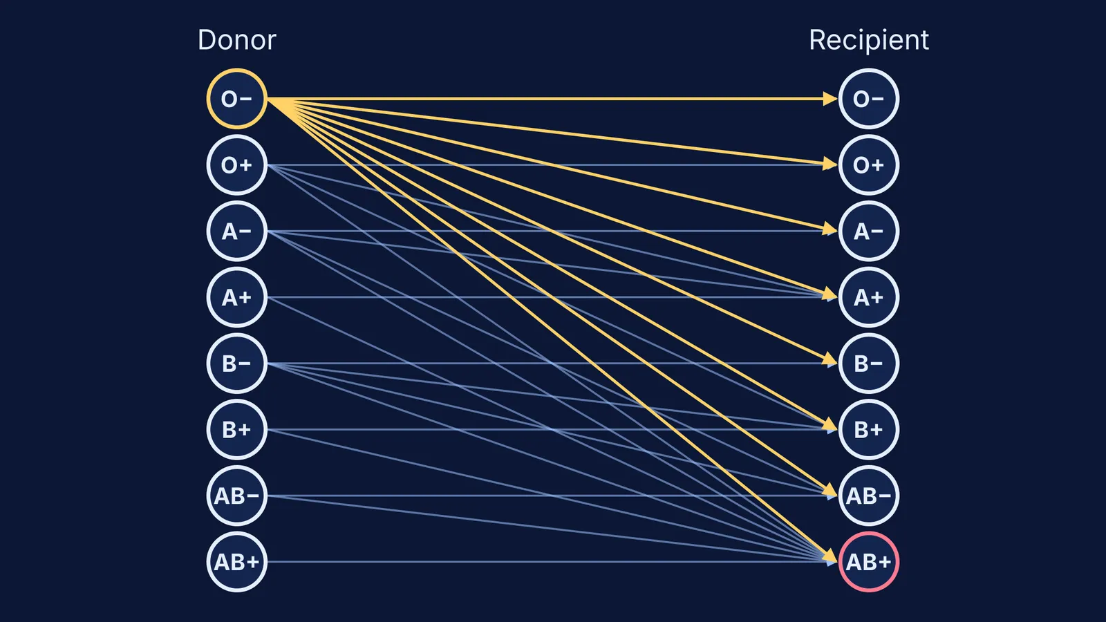 Chart of arrows linking eight donor blood groups to compatible recipient groups