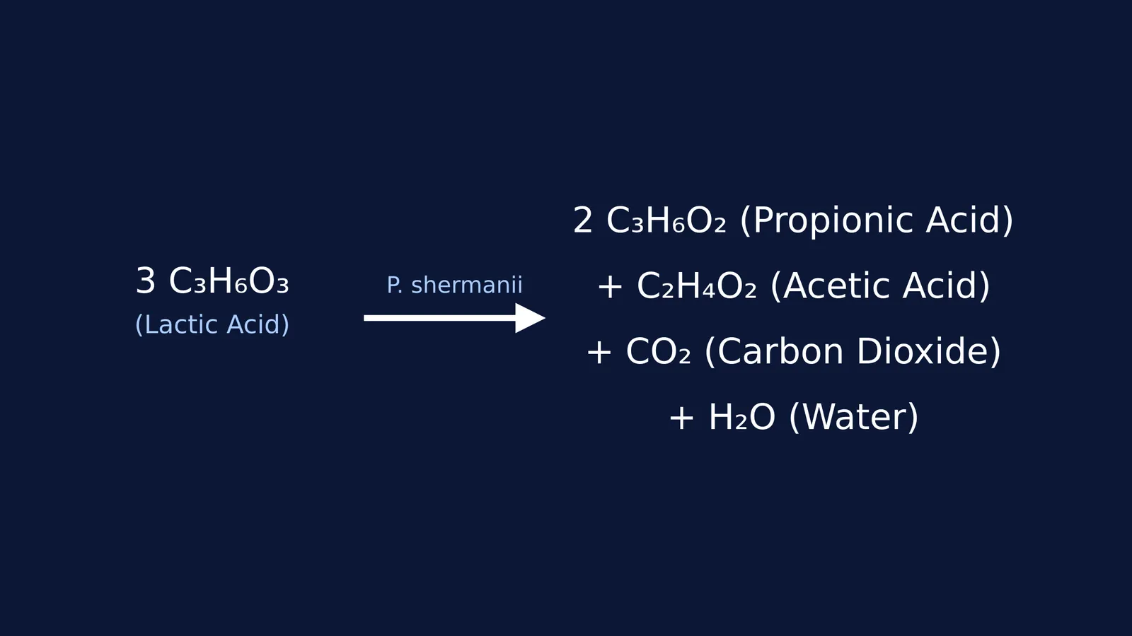 Chemical equation for lactic acid fermentation by Propionibacterium shermanii into propionic acid, acetic acid and carbon dioxide