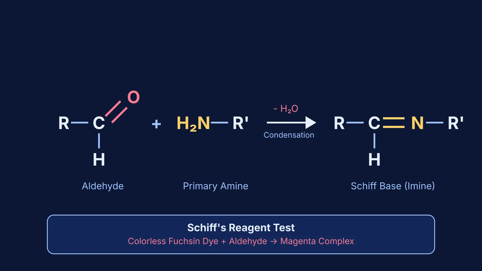 Chemical equation for Schiff base formation and Schiff's test.
