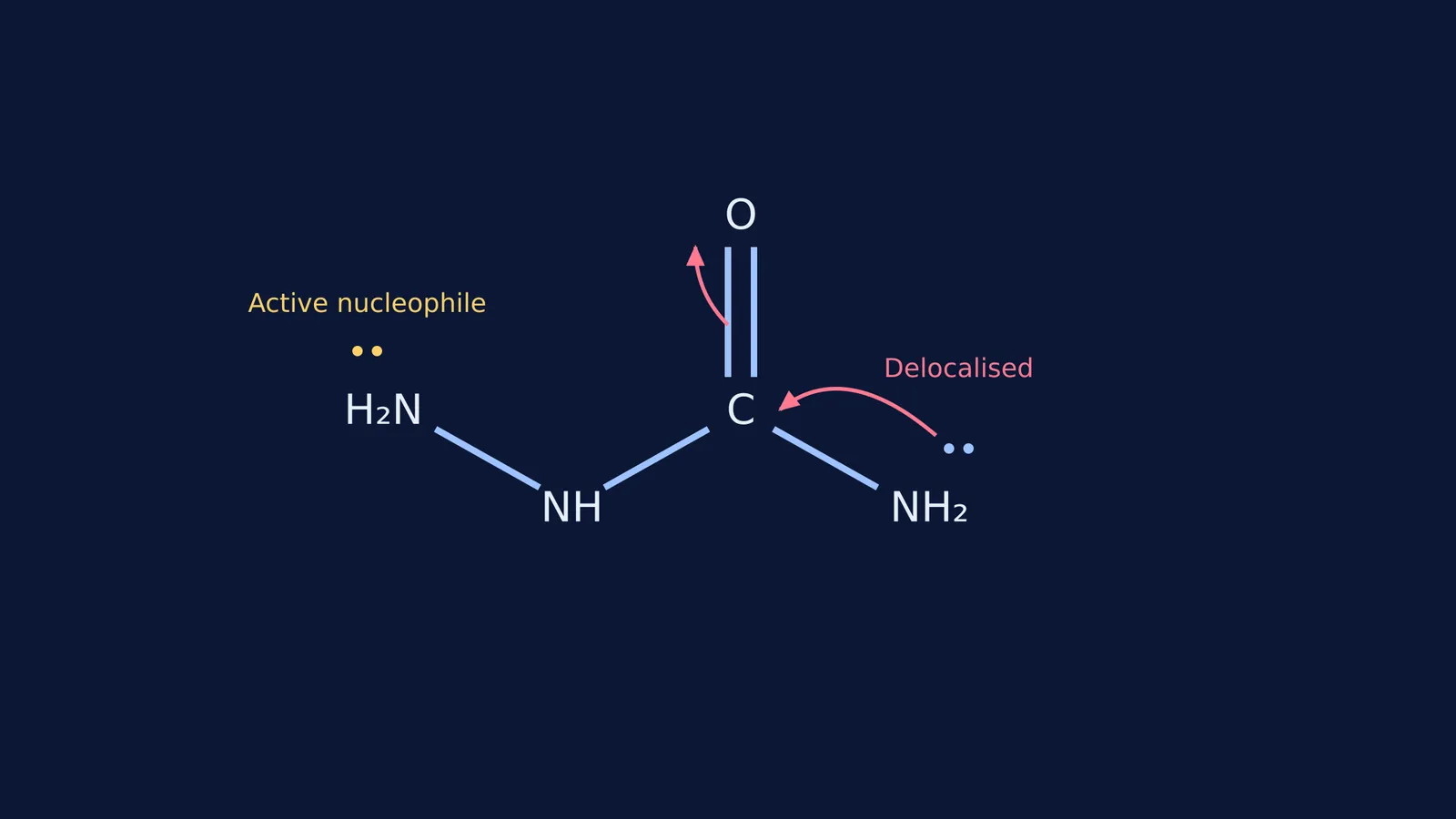 Chemical structure of semicarbazide showing active and delocalised lone pairs