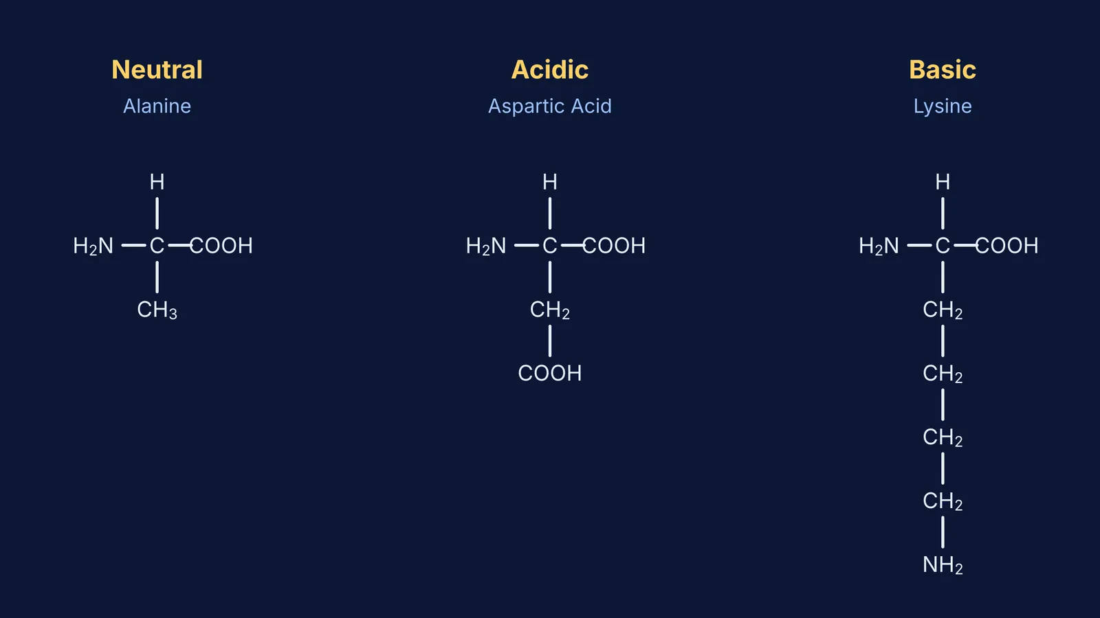 Chemical structures of alanine, aspartic acid and lysine